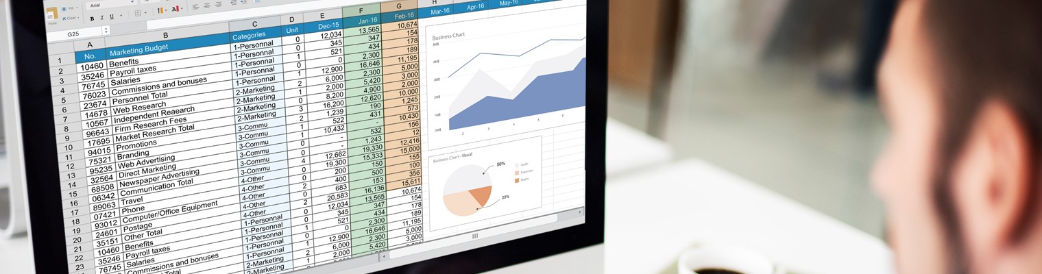 Formação Organização de Dados com Excel 